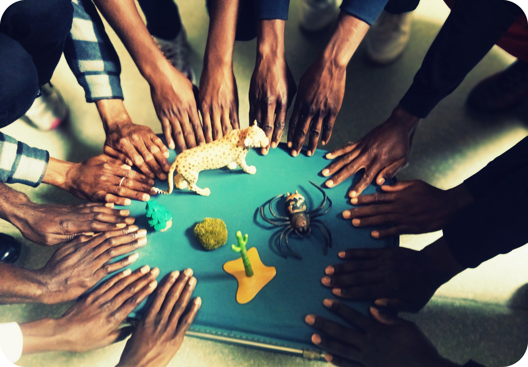 Démarrage du projet "Banquet d’humanité autour d’une langue partagée", un dialogue des cultures et un pont vers une autre relation à la langue!

Ce projet se tisse avec les acteurs FLE des quartiers prioritaires de Bayonne : l’ESCM, La @la_cimade , @etorkinekinbab , l'ESCF...
Il prend appui sur le spectacle "Un jour sans pain », qui aborde autrement la problématique des personnes qui arrivent en France, sous l'angle d'un regard exalté envers ces aventurier·es qui osent tout quitter pour retrouver un espace de dignité et de liberté.

Ce projet vise à créer un lien poétique entre le spectacle vivant et la relation à la langue française en proposant d'aborder différemment cette dernière. 

Comment?
 3 représentations du spectacle « Un jour sans pain » seront proposées au cœur des quartiers prioritaires de Bayonne ainsi que des rencontres artistiques en théâtre d’objets, écriture et mise en voix.

Aux manettes de ces espaces d'explorations artistiques : 

Théâtre d'objets avec Fanny Bérard, directrice artistique de la compagnie Nanoua, autrice et comédienne

Ecriture avec @laurentplatero Platero du Bocal, écrivain

Mise en voix avec Sarah Piet, Chanteuse et Cheffe de Choeur au sein de Nanoua.

Projet soutenu et financé par la cité éducative, Merci!